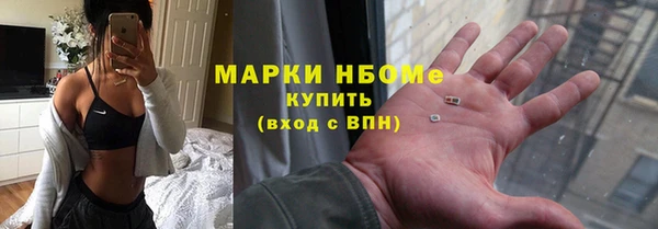 хмурый Белокуриха