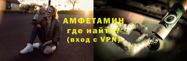 прущие грибы Балабаново
