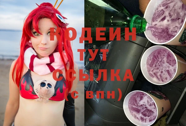 прущие грибы Балабаново