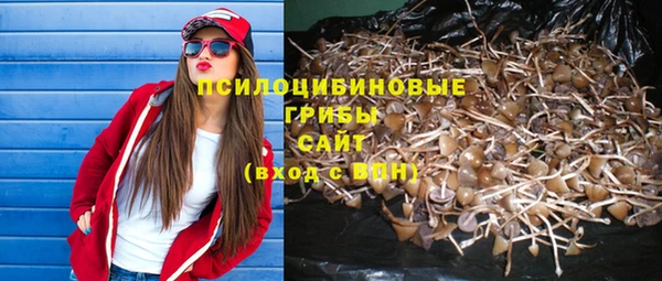 тгк Баксан