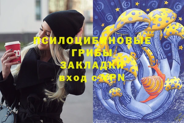 хмурый Белокуриха