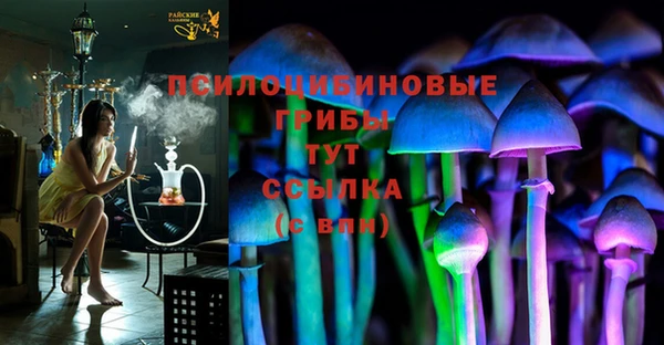 тгк Арсеньев