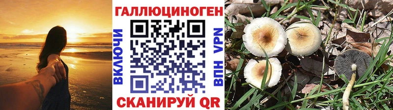Галлюциногенные грибы MAGIC MUSHROOMS  где продают   Бирск 